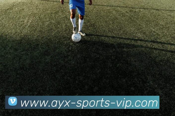 爱游戏APP 封面图